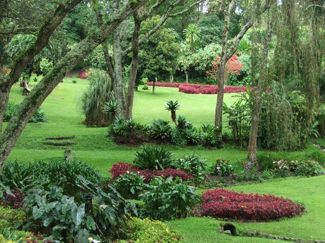 Tropical Gardens in the Nanid Hills. A great getaway not far from Kisumu
